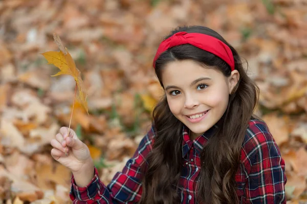 Okul üniformalı mutlu çocuk yüzü sonbahar akçaağaç yaprağını dışarıda tut, Eylül 'de. — Stok fotoğraf