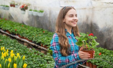 Tecrübeli çocuk. Saksı bitkileri ekiyorum. Çocuk bahçıvanı. Bahçedeki çiçekler. Günlük ev işleri.