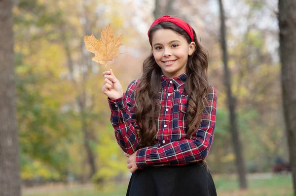 Naturligt skönhetsporträtt. höstsäsongens mode. tonåring flicka i skolan uniform hålla höst löv — Stockfoto