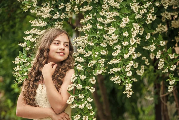 Hermosa novia niña vestido blanco flores floreciendo fondo, concepto de día feliz —  Fotos de Stock