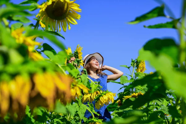 ひまわり畑の女の子は晴れた日に黄色の花を楽しむ — ストック写真