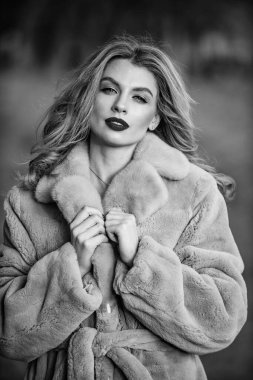 Özel bir gün. Görsel estetik. Lüks ve başarı konsepti. Kürk giymenin faydaları. Zarif kadın kürkü. Güzellik ve moda. Sonbahar ve kış tarzı. Eşsiz bir sıcaklık. Sahte kürk gerçek kürke karşı.