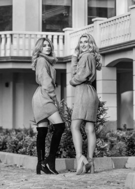 Birlikte geçirdiğimiz her dakikanın tadını çıkarıyorum. Sarışın kızlar sonbahar kıyafeti yaparlar. Kızlar yumuşak örgü elbise giyer. Kaşmir yün kazak. Sıcak, büyük giysiler. Seksi kadınlar açık havada güneşli hava. serbest stil rahat