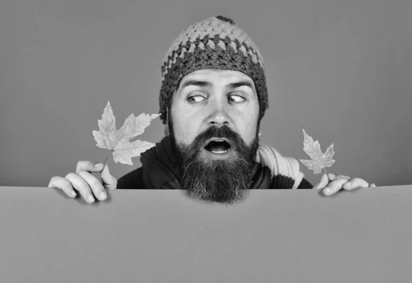 Říjen a listopad. Muž drží listy javoru — Stock fotografie