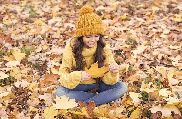 Blattspiel. Kleines Kind mit Herbstblatt sitzt auf dem Boden. Glückliches Kind in der Herbstlandschaft. Kleine Kinder spielen an der frischen Luft. Kindererlebnis in der herbstlichen Natur — Stockfoto