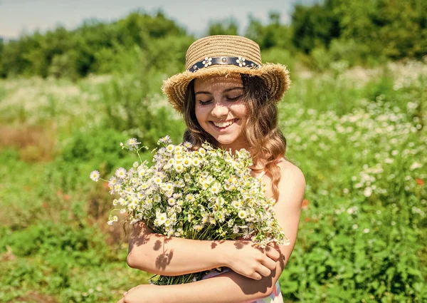 Szüret friss gyógynövények. Kamillavirágokat szedő kislány a mezőn, nyári szezonban — Stock Fotó