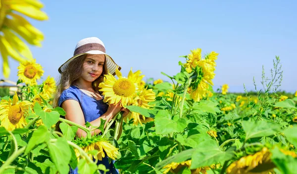 Cuidador de jardinero. retrato de niño feliz con hermoso girasol. niño alegre en sombrero de paja entre flores amarillas. niña en el campo de girasol de verano. Feliz día de los niños. felicidad infantil — Foto de Stock