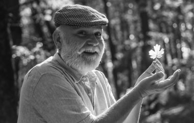 Botanik merakı. Etraftaki dünyayı keşfet. Emekliler güneşli bir sonbahar gününde ormanda yürüyüş yapıyor. İnsan sonbahar doğasını sever. Basit şeylerde güzellik görmek. Yaşlı adam yaprak topluyor. Ormanda sakallı büyükbaba