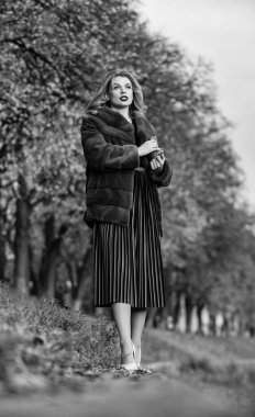 Çok giyilebilir bir seçim. Çekici yanını ortaya çıkar. Serin bir yürüyüş için dışarı çıkın. Hoş bir sonbahar kıyafeti. Kışın moda trendleri. Seksi kırmızı dudaklı kadın kürk ceket giyiyor. Kürk mantolu zarif iş kadını.