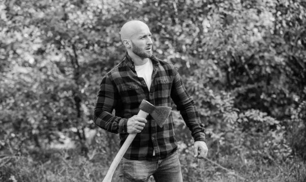 Hombre camisa a cuadros utilizar hacha. macho brutal y atractivo en el bosque. poder y fuerza. leñador llevar hacha. trabajador leñador calvo. en vivo en Rancho. concepto de masculinidad. árbol cortado hipster barbudo —  Fotos de Stock