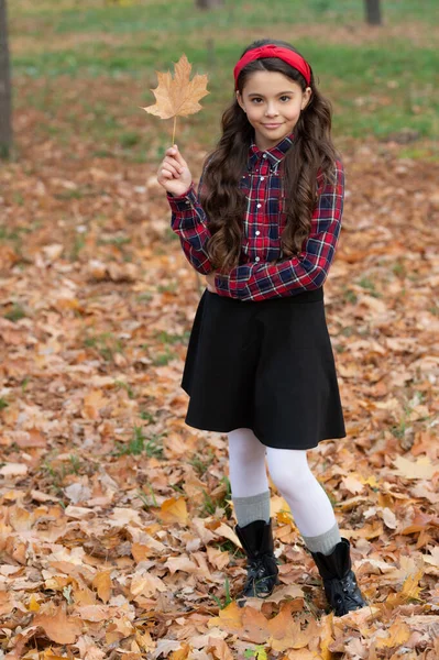 Sonriente adolescente chica en la escuela uniforme celebrar otoño arce hoja al aire libre, caída — Foto de Stock