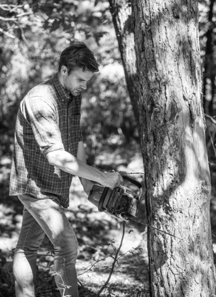 Yeşil hayat. Piknik ateşi için yakacak odun arayın. Vahşi doğada hayatta kalmak. İnsan ve doğa. Ormanda yürüyüş yapan bir adam. Ormanda kaçak avcı. Ormanların tahrip edilmesi. Korucu ya da kaçak. Forster ağacı kesmek için testereyi kullandı. — Stok fotoğraf