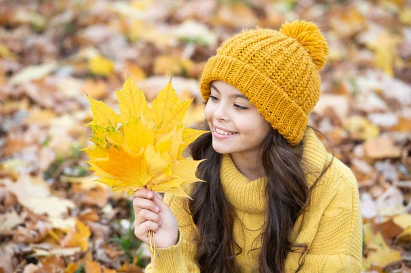 Sonriente adolescente chica en amarillo sombrero hold arce hoja al aire libre en parque, otoño —  Fotos de Stock