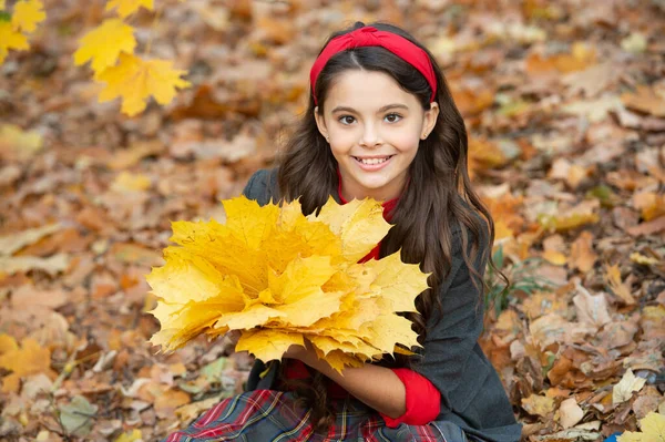 童年的快乐自然美。秋天流行。穿着校服的少女 — 图库照片