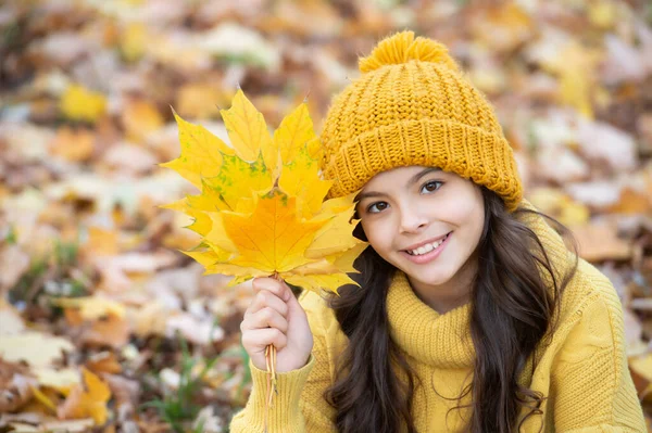 Bambino felice in cappello giallo tenere foglia d'acero all'aperto nel parco, autunno — Foto Stock