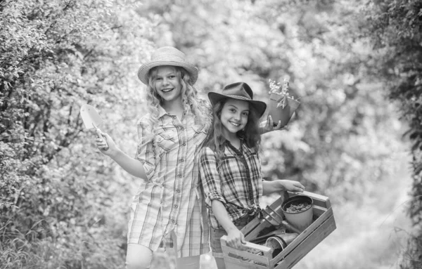 Bambini allegri che lavorano in giardino. Coltivare verdure. Piantare verdure. Attività estive. Sorelle ragazzi carini che aiutano alla fattoria. Concetto agricolo. Ragazze piantare piante. Piantagione e irrigazione — Foto Stock