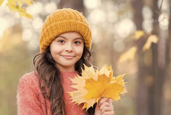 Autunno ragazza in elegante cappello a maglia e maglione caldo godersi la giornata nella foresta con foglie di acero giallo come simbolo della stagione autunnale, tempo stagionale — Foto Stock