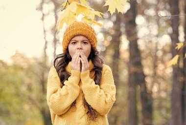Küçük kız sonbahar doğasında sıcak eller. Küçük kız örgü şapka ve kazak giyiyor. Çocuk ormanda soğuk sonbahar havasını hisseder. Sonbahar parkındaki çocuk. Çocuklar kıyafet modasına girer. güzellik biçimi