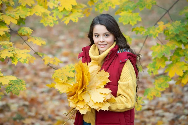 Tini lány fog sárga őszi levél. mosolygó gyermek juharfalevéllel a szabadban. őszi természet. — Stock Fotó
