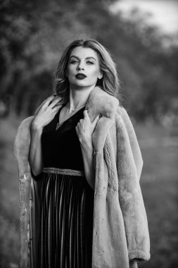 Zarif ve zarif bayan kürk giyer. Kürklü bir iş kadını. Gerçek kürkün büyüsü gerçekten günü kurtarıyor. Bugün hala moda. saf kadın güzelliği. İnternetten gerçek kürk al. Kazanan formül