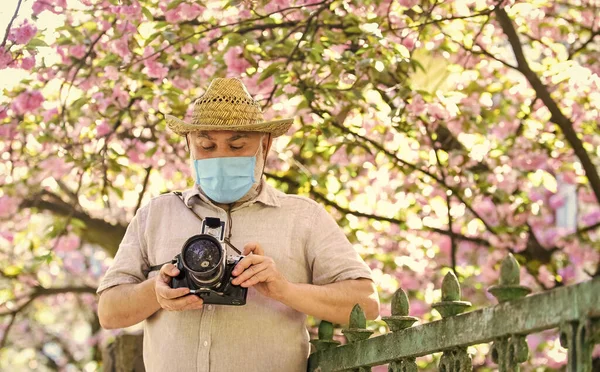 Professional photographer work during coronavirus quarantine. man tourist use camera take photo of cherry blossom. sakura in full bloom photography. senior bearded man in respirator mask. Hot day — Stock Photo, Image