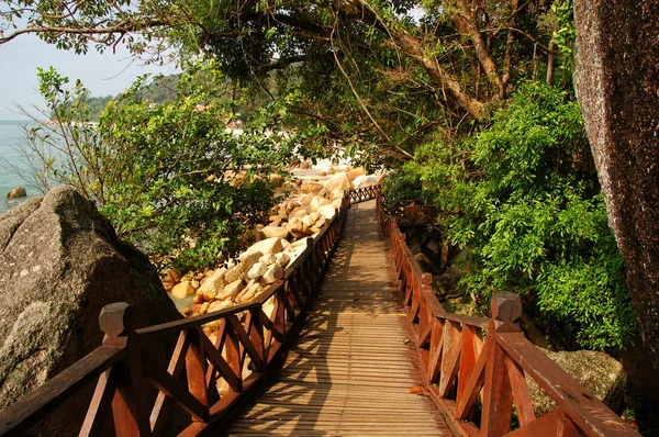 Puente de madera —  Fotos de Stock