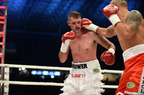 Boxning för champions bälte — Stockfoto