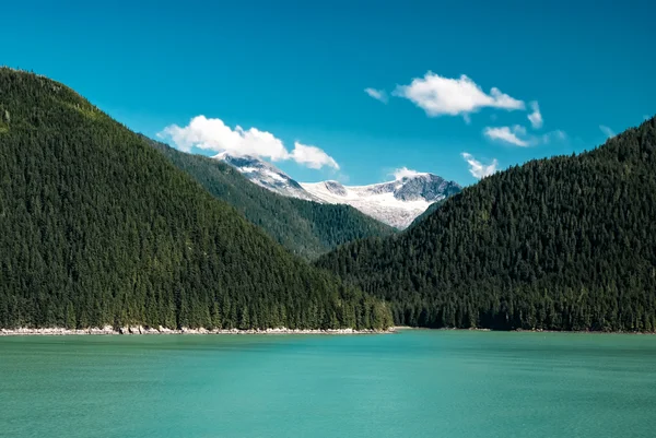 Yeşil orman, nehir bulutlar kar ile Alaska yatay