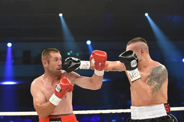 Kampen för Wbo Inter-Continental cruiserweight champion bälte — Stockfoto