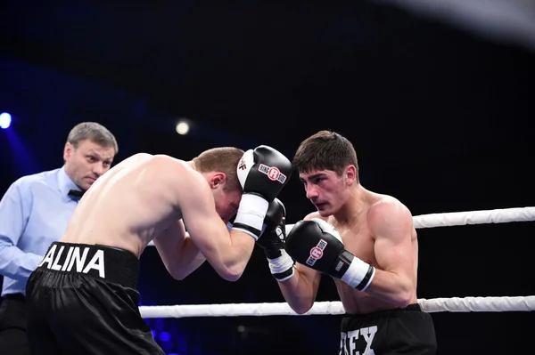 Ranking boxing fight in Palace of sport — Stock Photo, Image