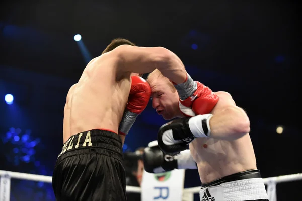 Ranking boksen strijd in Paleis van sport — Stockfoto