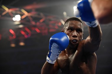 Boks dünya serisi: Ukrayna otamans vs İngiliz lionhearts