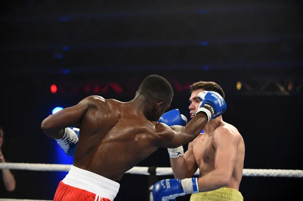 Světová série boxu: Ukrajina Otamans vs britská Lionhe — Stock fotografie