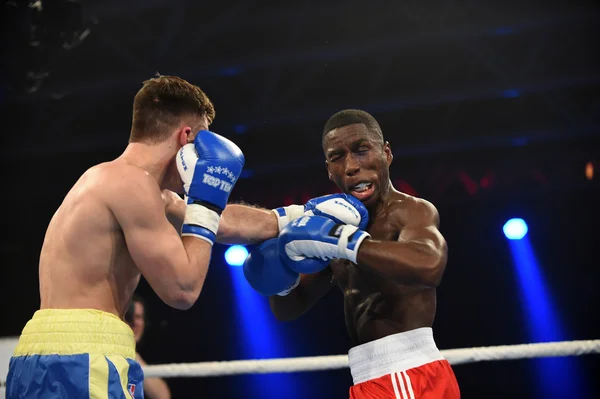 World series van boksen: Oekraïne Otamans vs Britse Lionhe — Stockfoto
