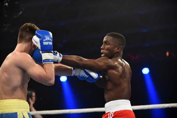 Série mundial de boxe: Ucrânia Otamans vs Lionhe britânico — Fotografia de Stock