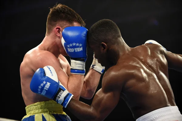 World series of boxing: Otamans Ukraina vs British Lionhe — Zdjęcie stockowe