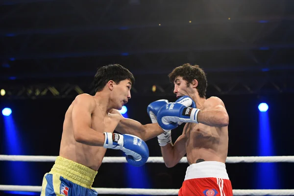 Světová série boxu: Ukrajina otamans vs britská lionhearts — Stock fotografie