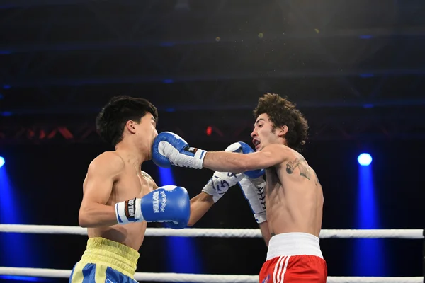 Světová série boxu: Ukrajina otamans vs britská lionhearts — Stock fotografie