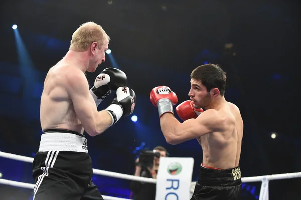 Ranking luta de boxe no Palácio do esporte — Fotografia de Stock