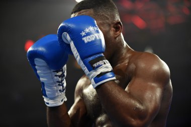 Boks dünya serisi: Ukrayna otamans vs İngiliz lionhearts