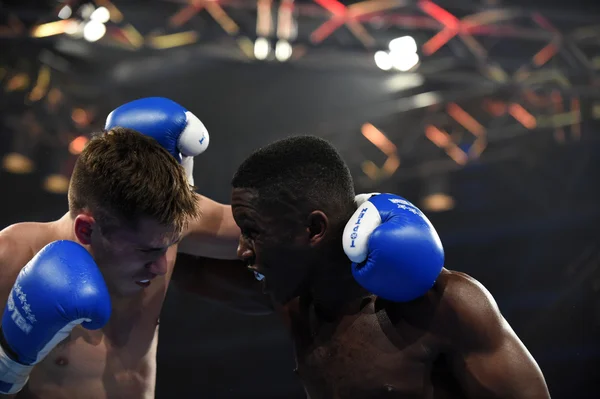 Série mundial de boxe: Ucrânia Otamans vs Lionhe britânico — Fotografia de Stock