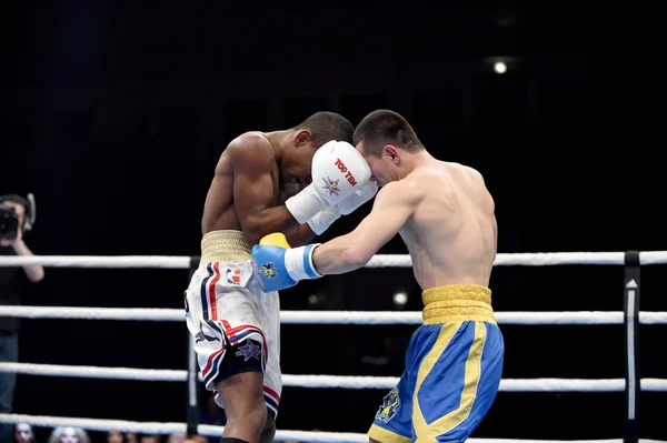 Světová série boxu: Ukrajina Otamans vs Kuba Domadores — Stock fotografie