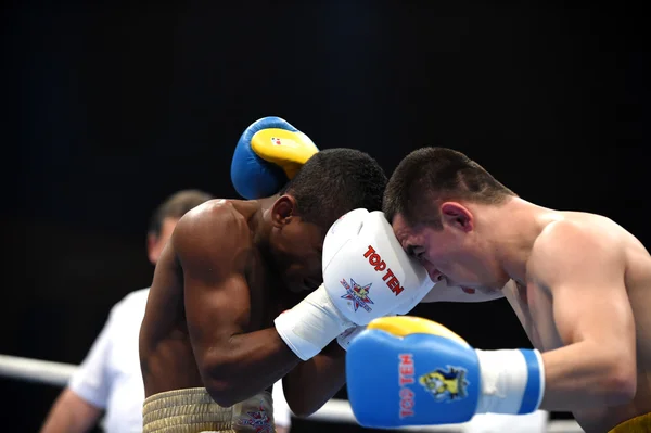 World series of boxning: Ukraina Otamans vs Kuba Domadores — Stockfoto