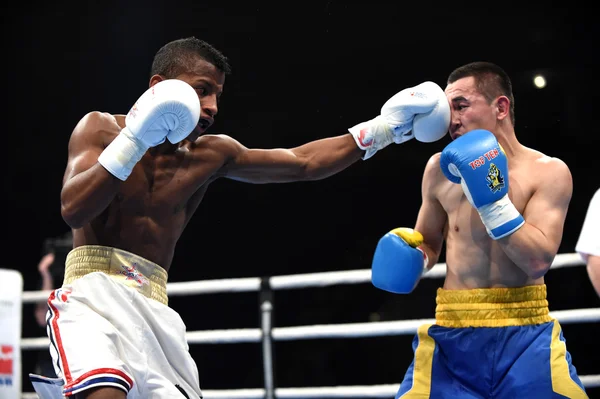 Světová série boxu: Ukrajina Otamans vs Kuba Domadores — Stock fotografie