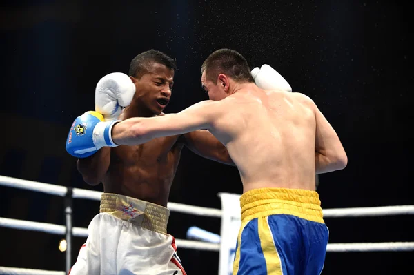 拳击世界系列: 乌克兰 Otamans vs 古巴 Domadores — 图库照片