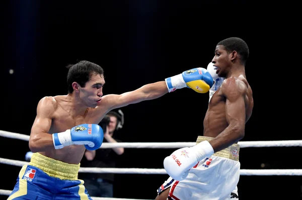 Světová série boxu: Ukrajina Otamans vs Kuba Domadores — Stock fotografie