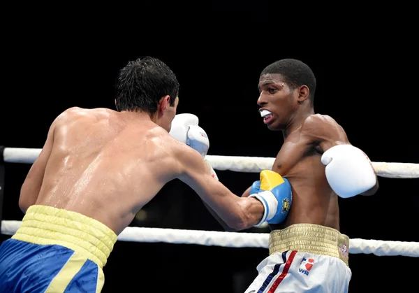 Serie mundial de boxeo: Ucrania Otamans vs Cuba Domadores — Foto de Stock