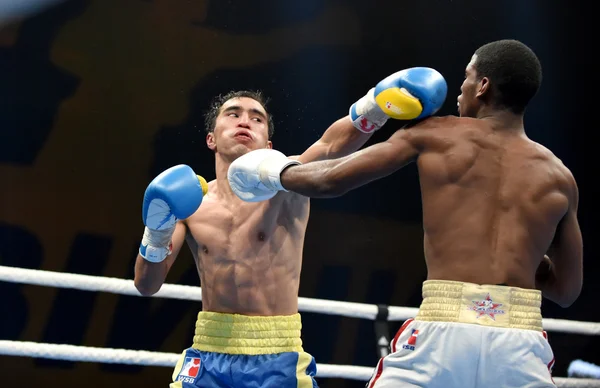 ボクシングのワールド シリーズ: ウクライナ Otamans 対キューバ Domadores — ストック写真