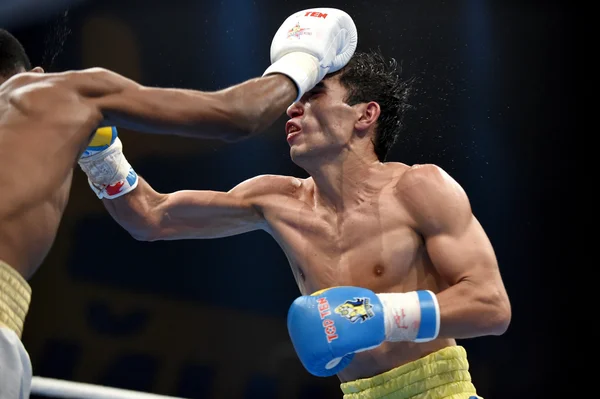 World series of boxning: Ukraina Otamans vs Kuba Domadores — Stockfoto