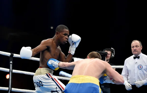 World series of boxning: Ukraina Otamans vs Kuba Domadores — Stockfoto